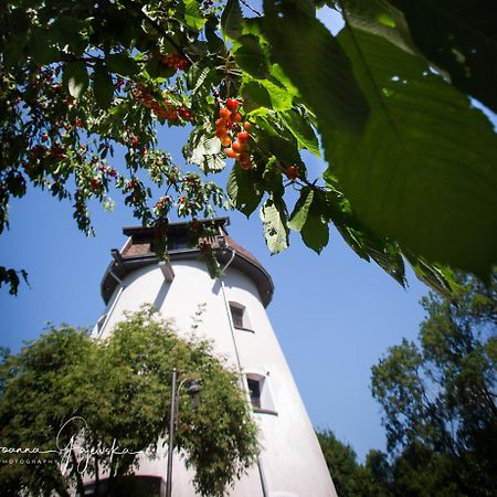 Dom Wakacyjny - Wiatrak Holenderski Na Mazurach Villa Ryn  Exterior photo