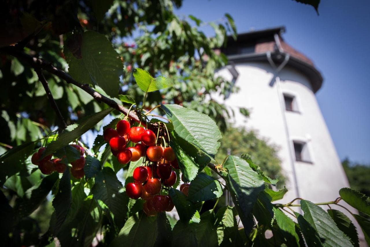 Dom Wakacyjny - Wiatrak Holenderski Na Mazurach Villa Ryn  Exterior photo