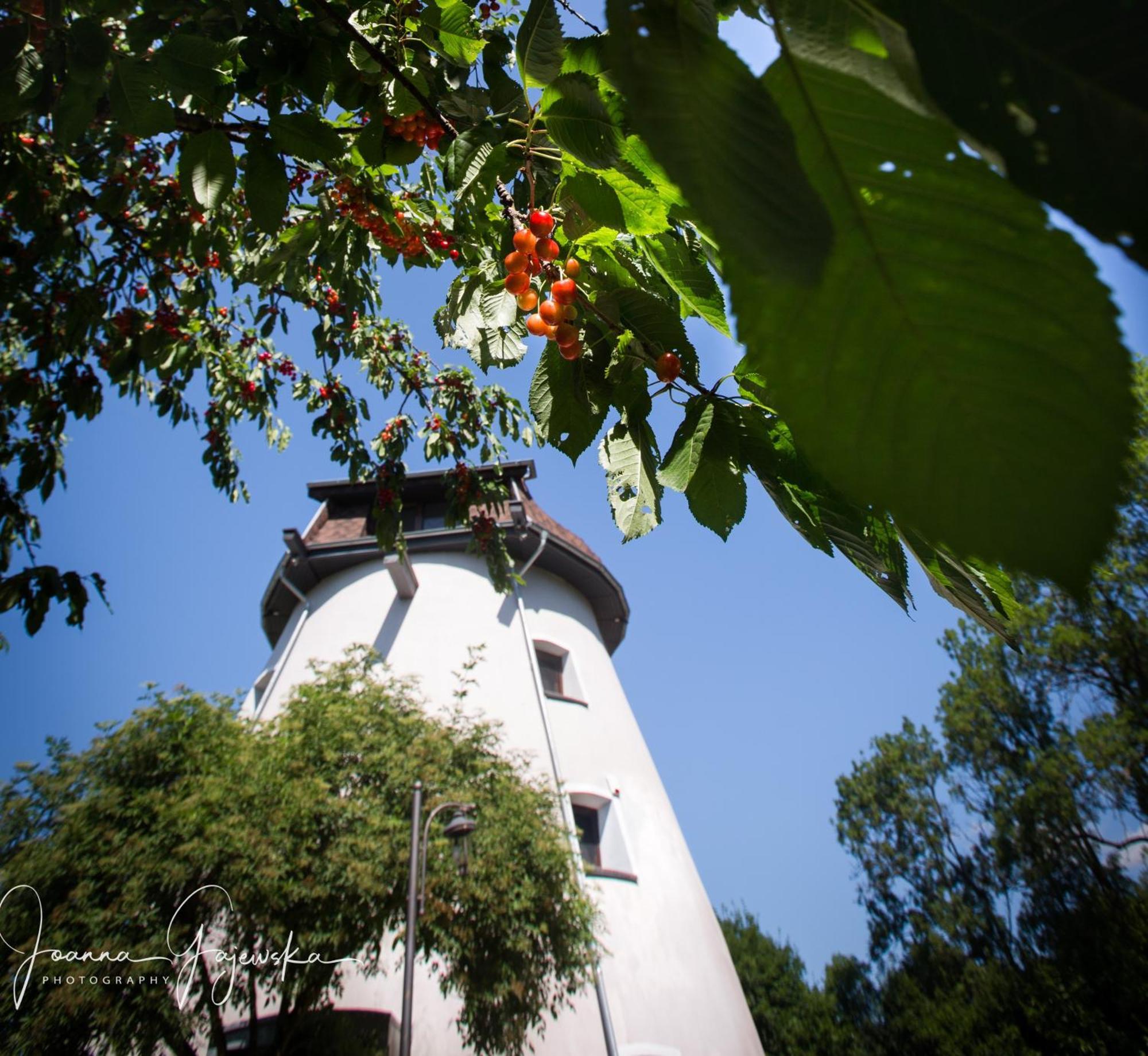 Dom Wakacyjny - Wiatrak Holenderski Na Mazurach Villa Ryn  Exterior photo